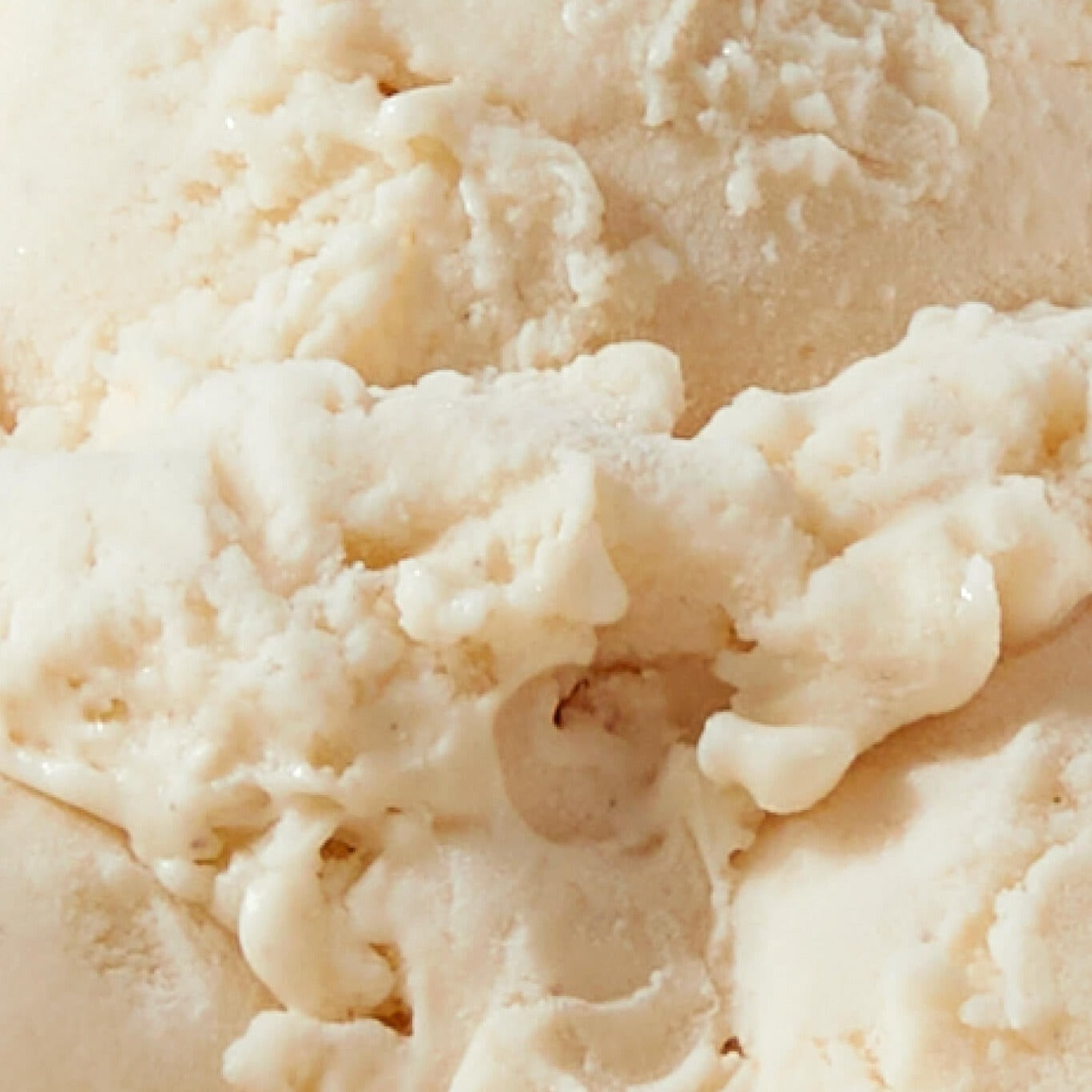 Alternative view of Vanilla Bean